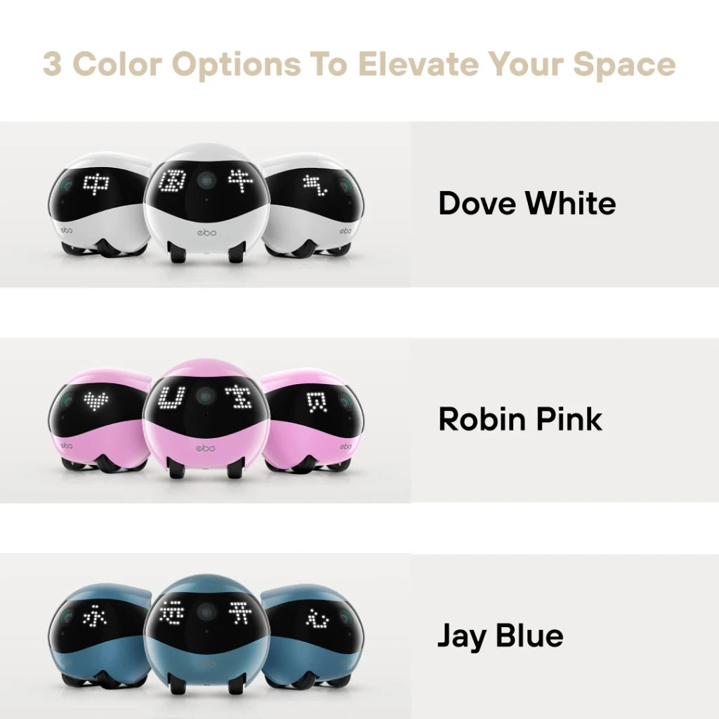EBO Air 2  Smart Companion Robot
